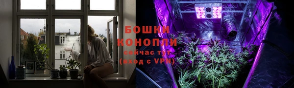 ГАЛЛЮЦИНОГЕННЫЕ ГРИБЫ Волоколамск