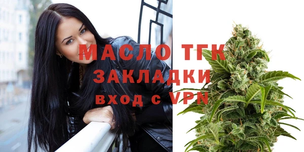 дживик Верхний Тагил