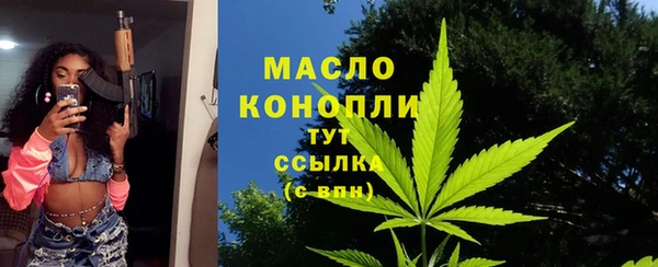 дживик Верхний Тагил