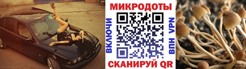 Купить закладки  Вятские Поляны  Галлюциногенные грибы мухоморы 